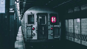 Next stop, 51st State 2020