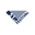 51st Festival 2025 logo